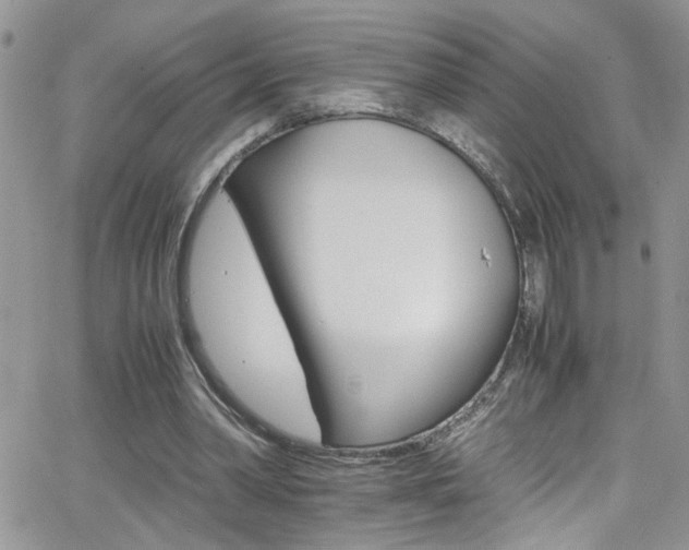 X0000066540390200603171246