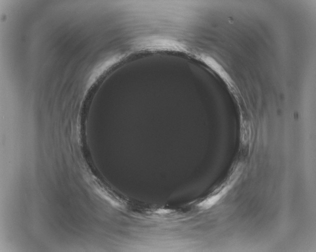 X0000066540391200603171246