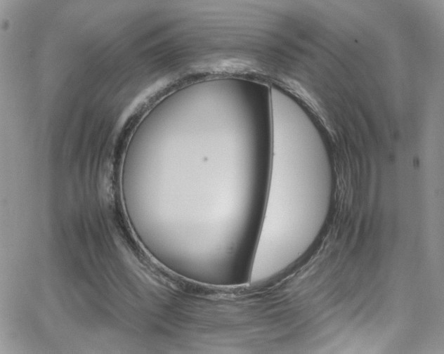 X0000066540392200603171246