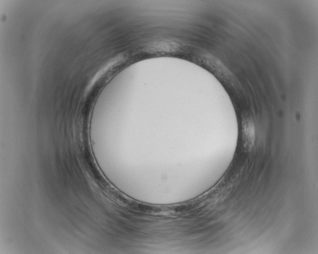 X0000066540396200603171246