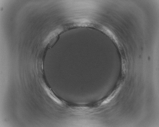 X0000066540397200603171246