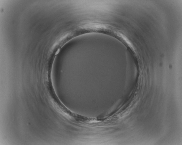 X0000066540399200603171246