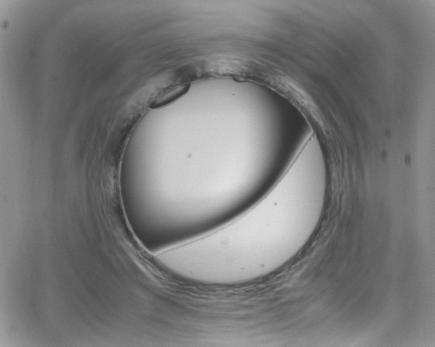 X0000066540401200603171246