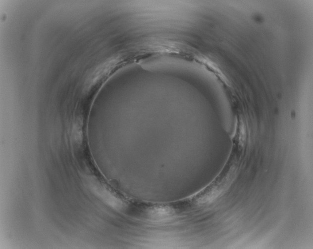 X0000066540402200603171246