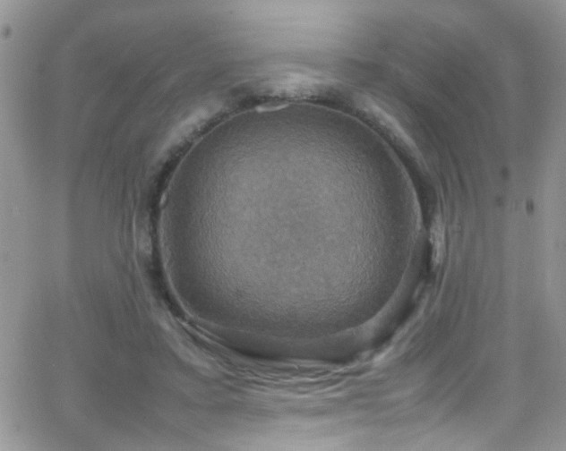 X0000066540403200603171246