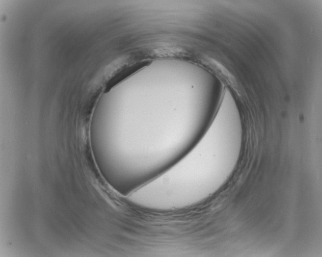 X0000066540405200603171246