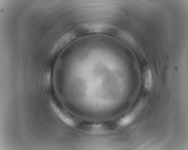 X0000066540406200603171246