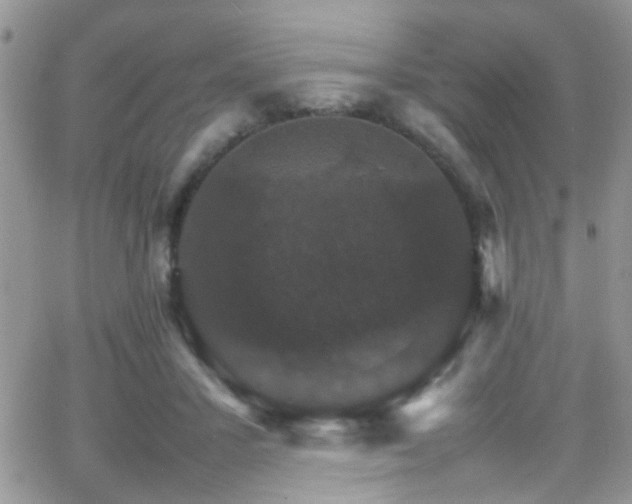 X0000066540407200603171246