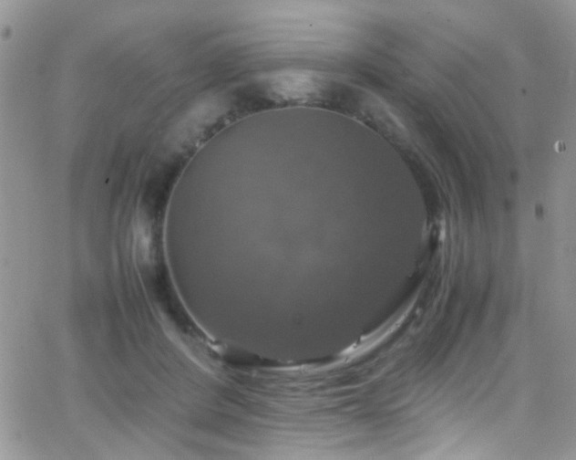 X0000066540408200603171245