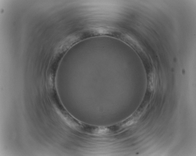 X0000066540410200603171245