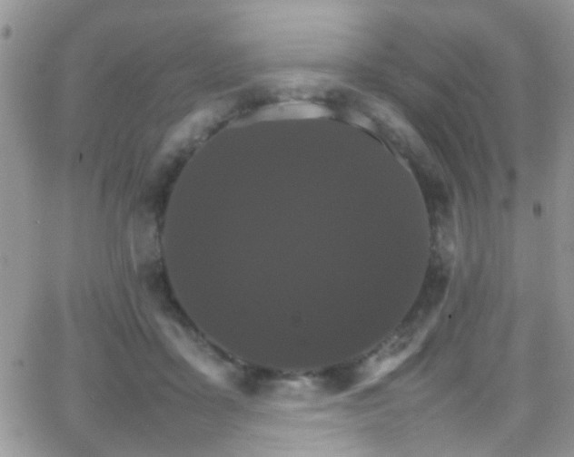 X0000066540411200603171245