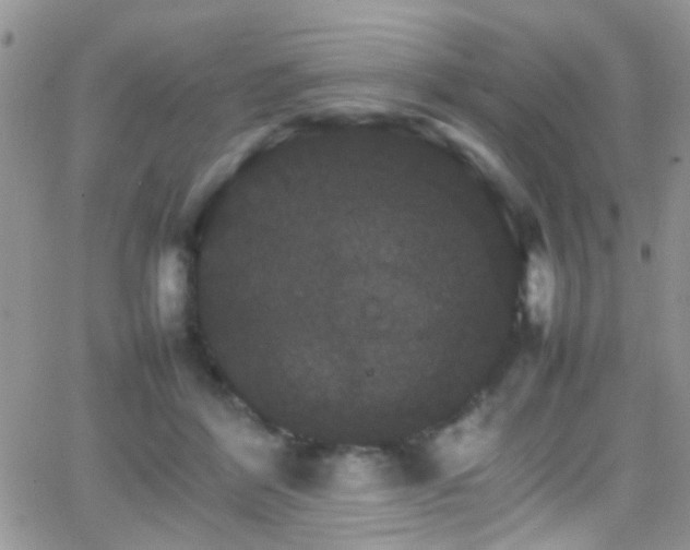 X0000066540412200603171245