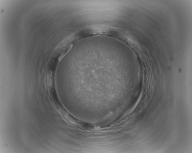 X0000066540413200603171245