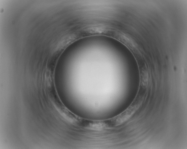 X0000066540414200603171245