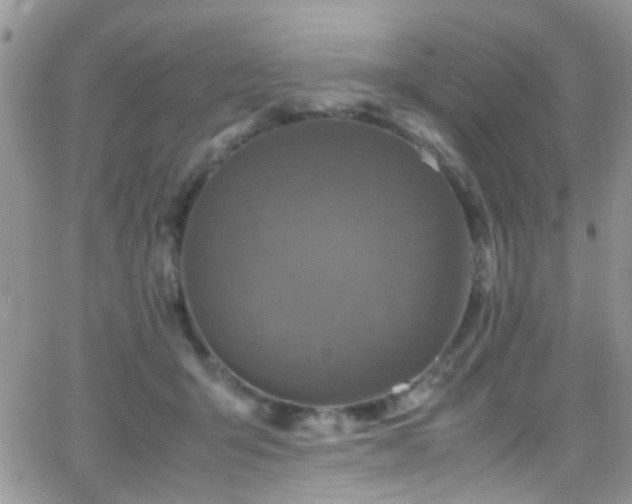 X0000066540415200603171245