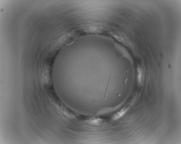 X0000066540416200603171245