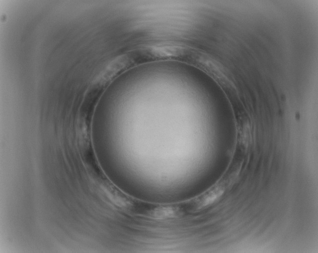 X0000066540418200603171245