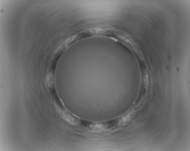 X0000066540419200603171245