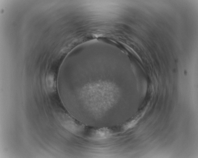 X0000066540420200603171245