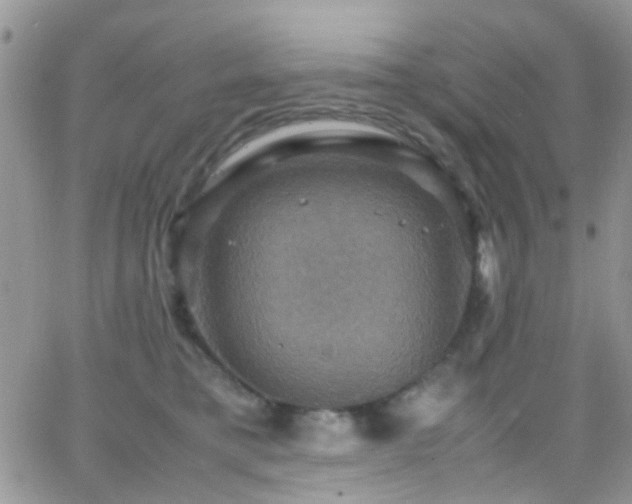 X0000066540421200603171245