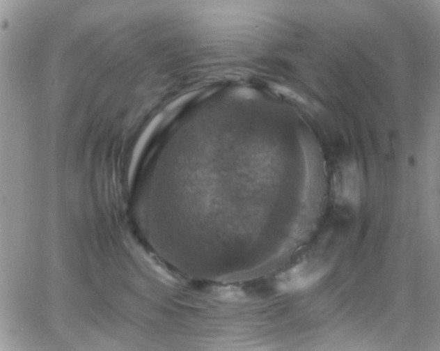 X0000066540424200603171245