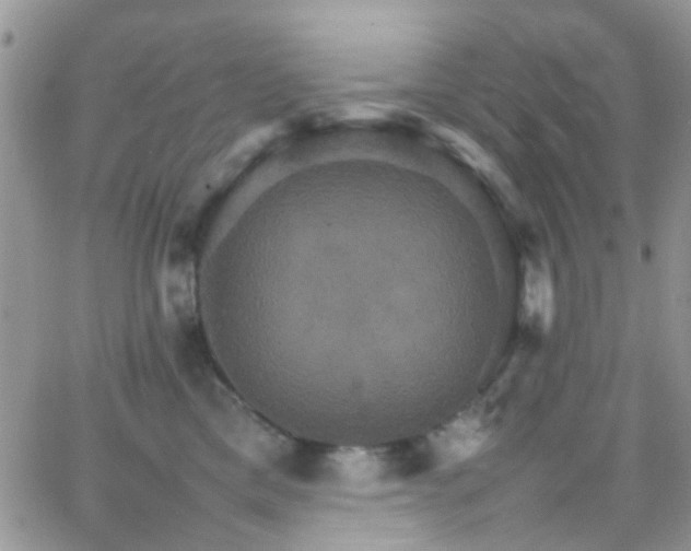 X0000066540425200603171245