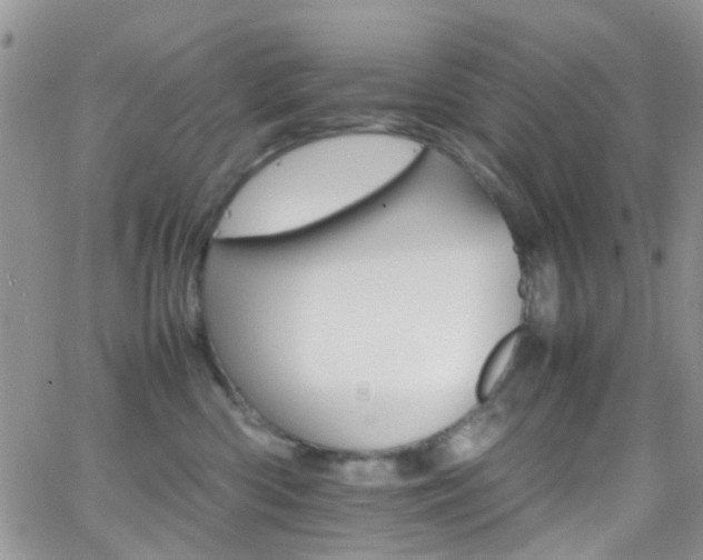 X0000066540426200603171245