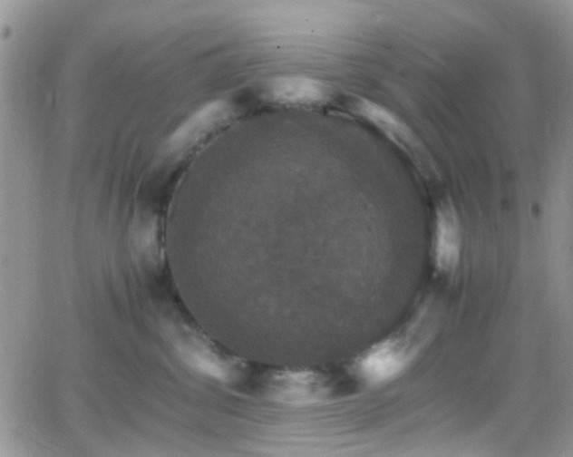 X0000066540428200603171245