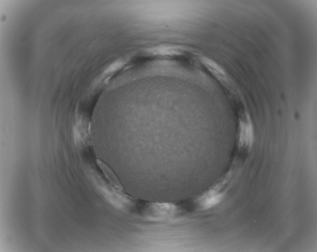 X0000066540429200603171245