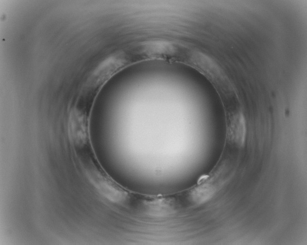 X0000066540430200603171245