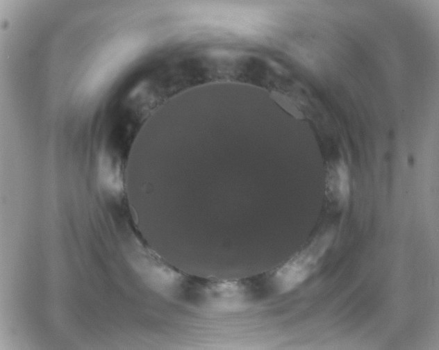 X0000066540431200603171245