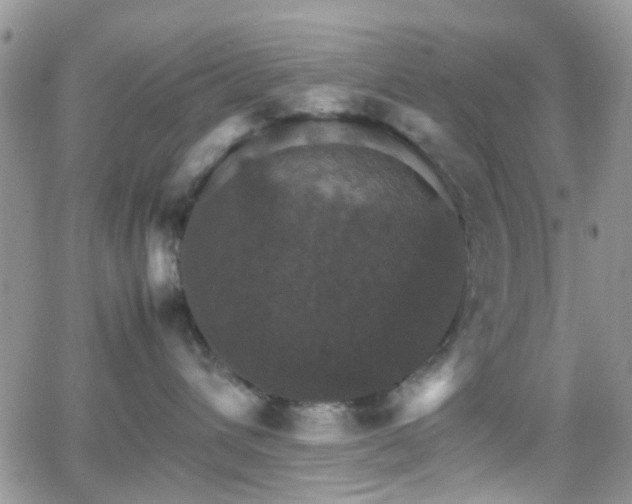 X0000066540432200603171245