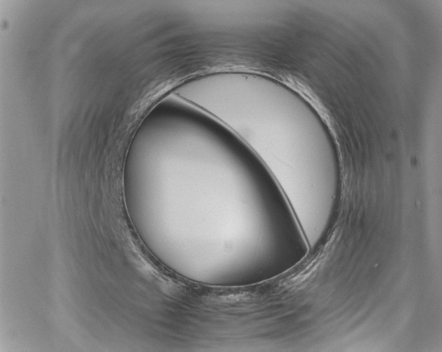 X0000066540433200603171244