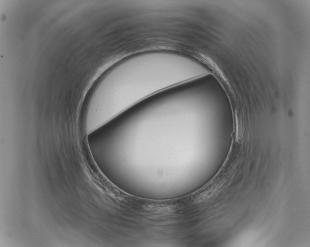 X0000066540435200603171244