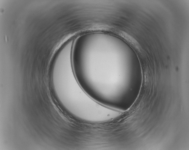 X0000066540436200603171244