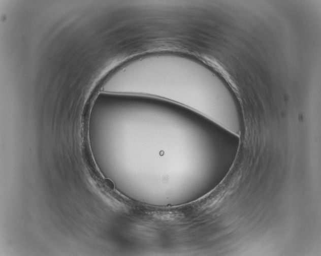 X0000066540439200603171244