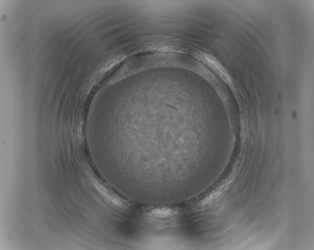 X0000066540441200603171244