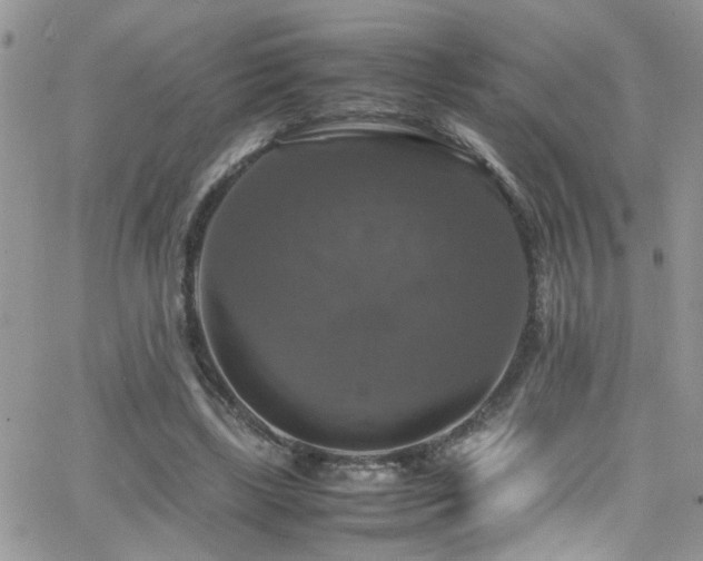 X0000066540443200603171244