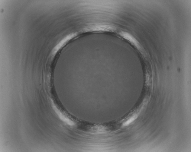 X0000066540444200603171245