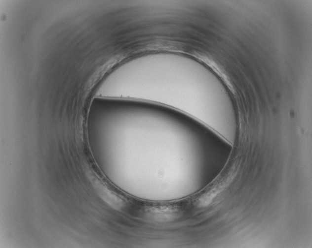 X0000066540445200603171245