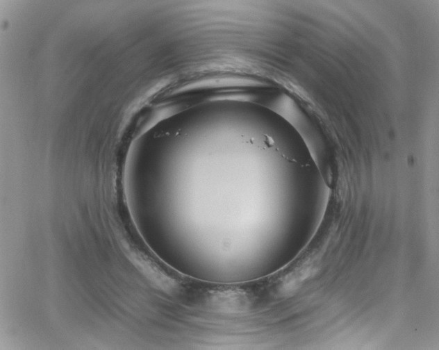 X0000066540446200603171245