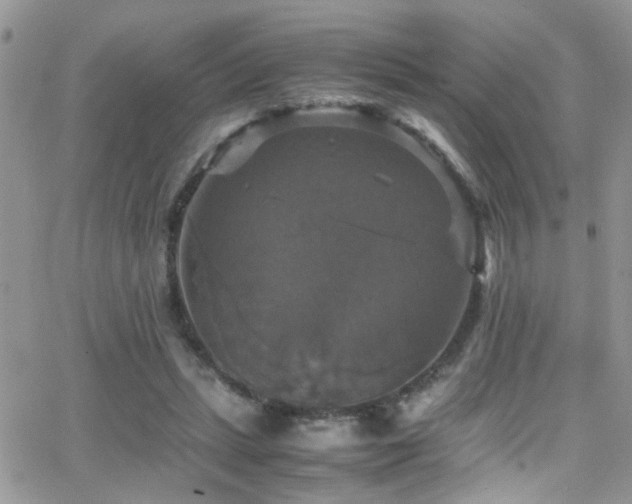 X0000066540447200603171245