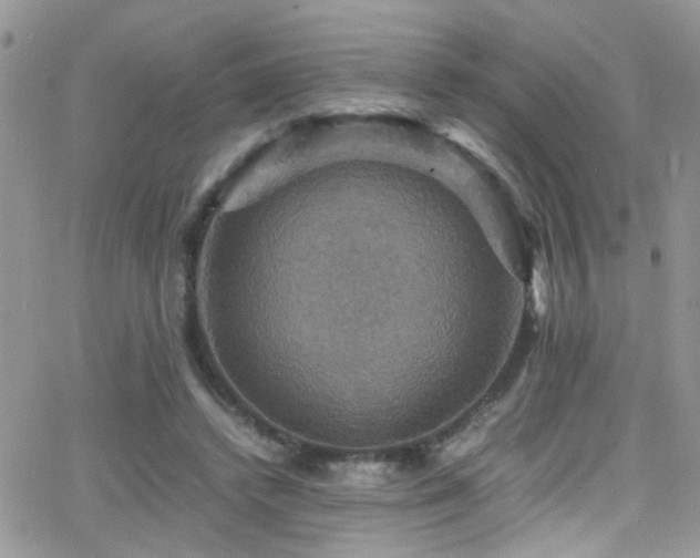 X0000066540448200603171245