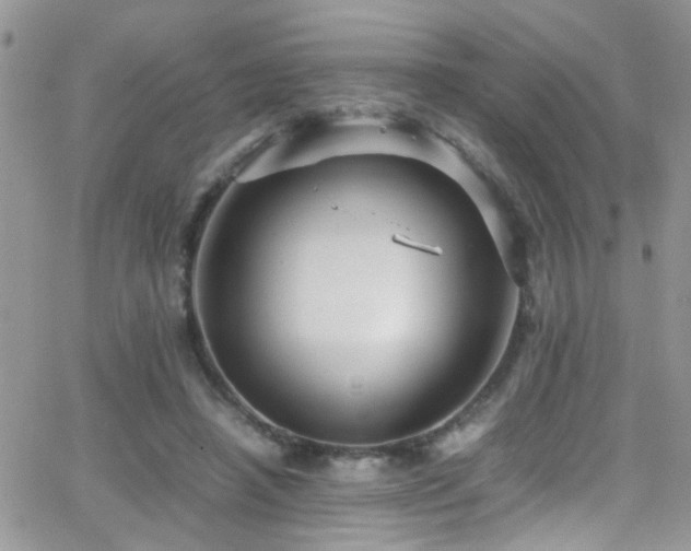 X0000066540450200603171245