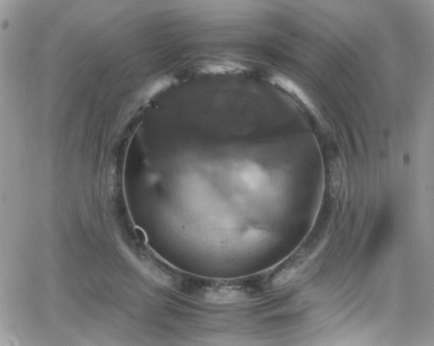 X0000066540451200603171245