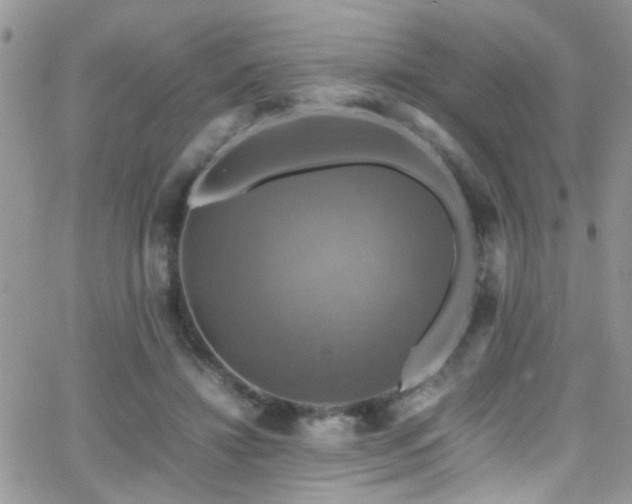 X0000066540452200603171245