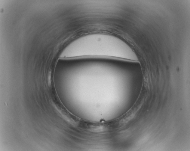 X0000066540454200603171245