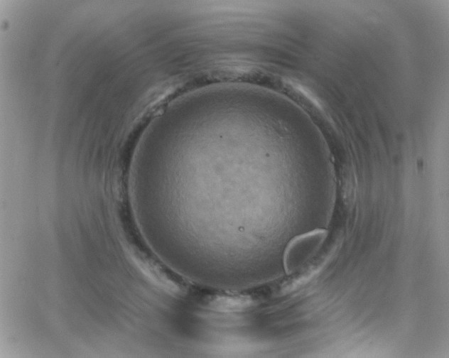 X0000066540455200603171245