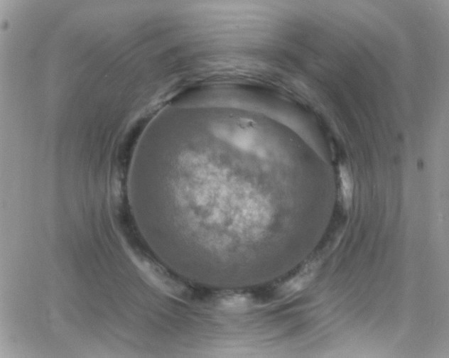 X0000066540456200603171245