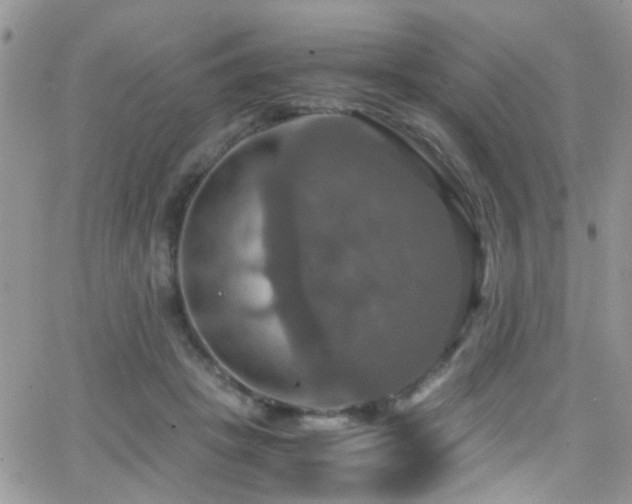 X0000066540457200603171245